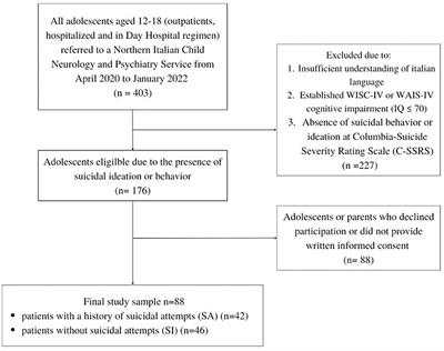 Psychological and behavioral characterization of suicide ideators and suicide attempters in adolescence